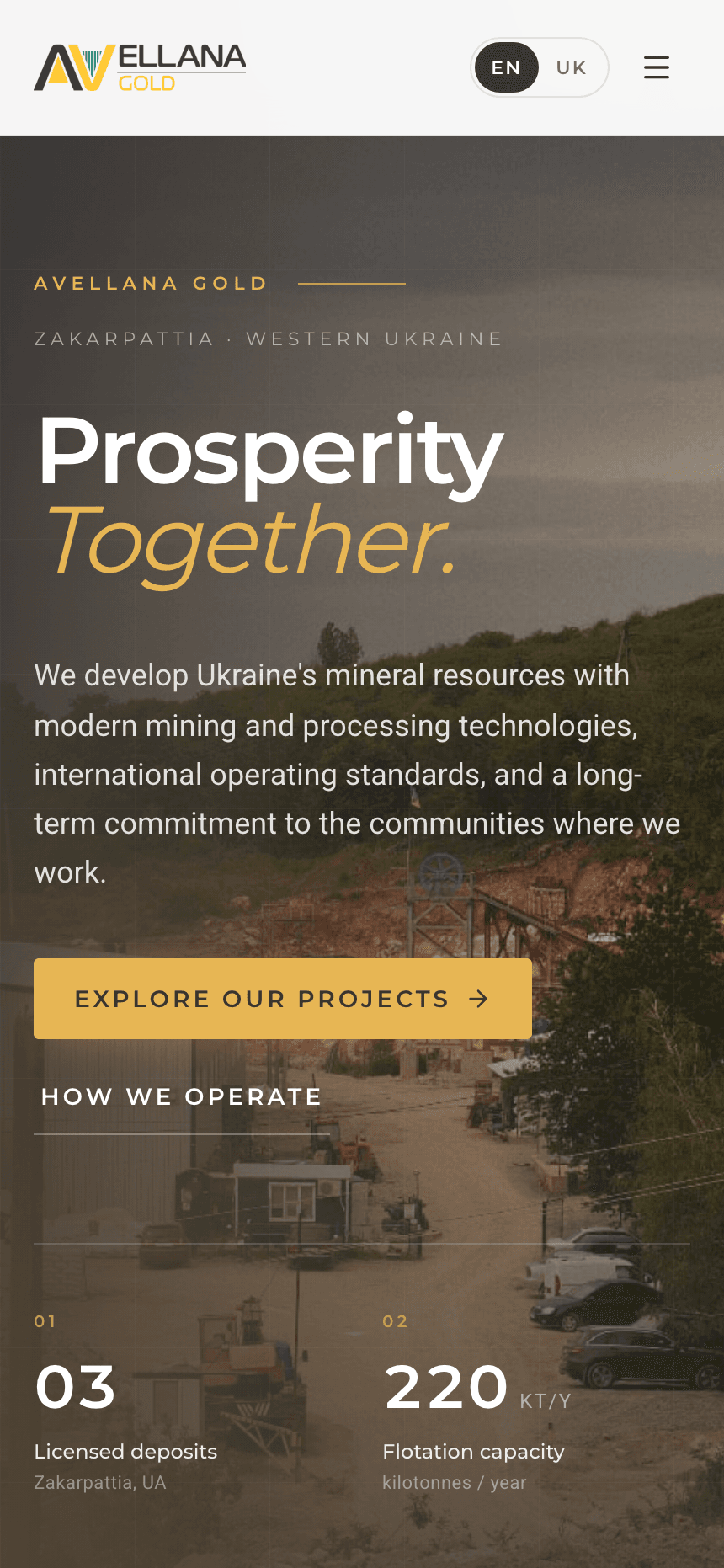 Avellana Gold homepage at mobile width